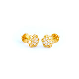 22KT YELLOW GOLD EAR STUD (ES0000416)