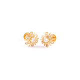 22KT YELLOW GOLD EAR STUD (ES0000417)