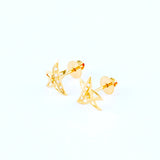 22KT YELLOW GOLD EAR STUD (ES0000893)