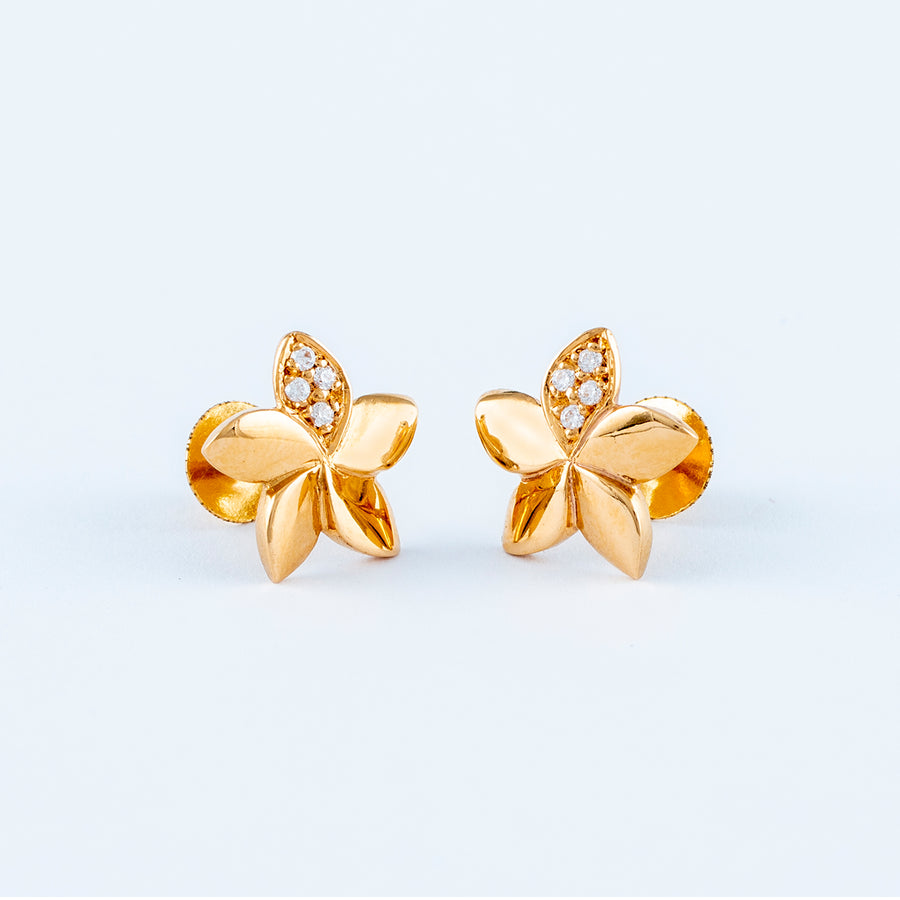 22KT YELLOW GOLD EAR STUD (ES0000945)