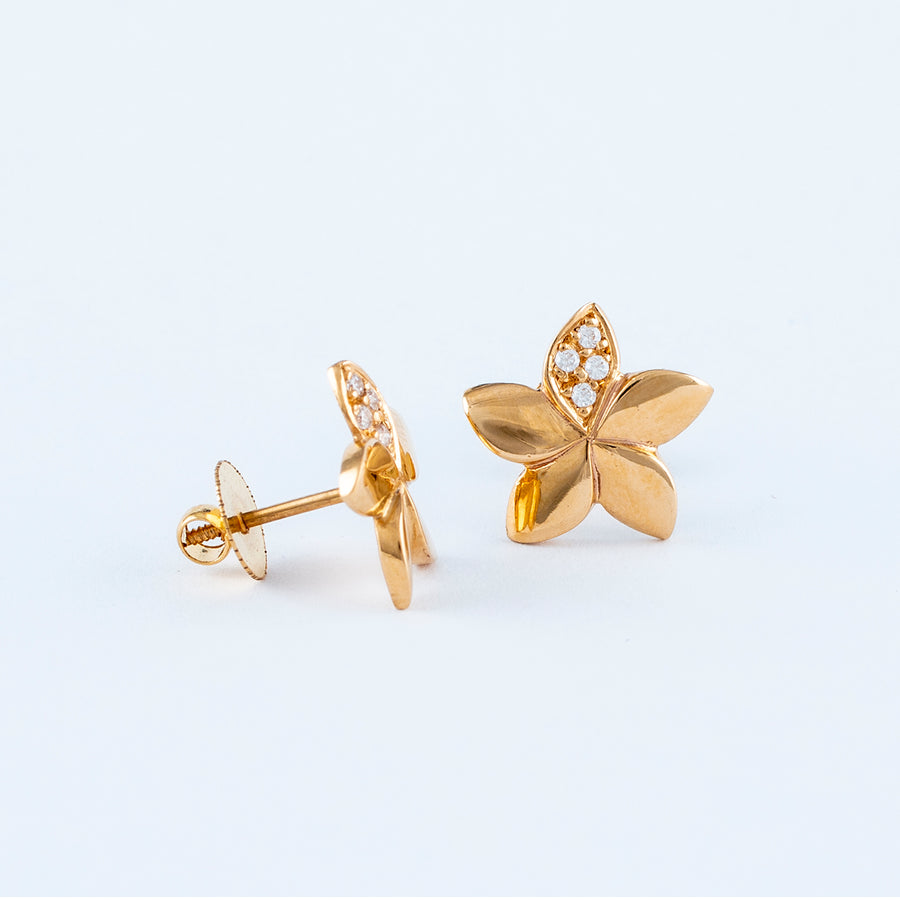 22KT YELLOW GOLD EAR STUD (ES0000945)