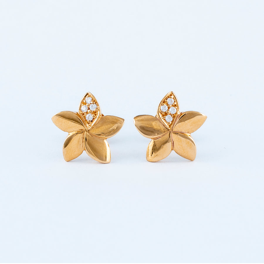 22KT YELLOW GOLD EAR STUD (ES0000945)