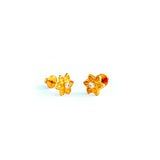 22KT YELLOW GOLD EAR STUD (ES0001165)