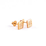 22KT YELLOW GOLD EAR STUD (ES0001463)