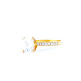 22KT YELLOW GOLD LADIES RING (RI0001815)